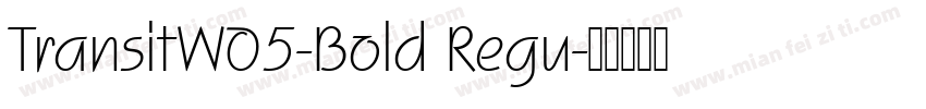 TransitW05-Bold Regu字体转换